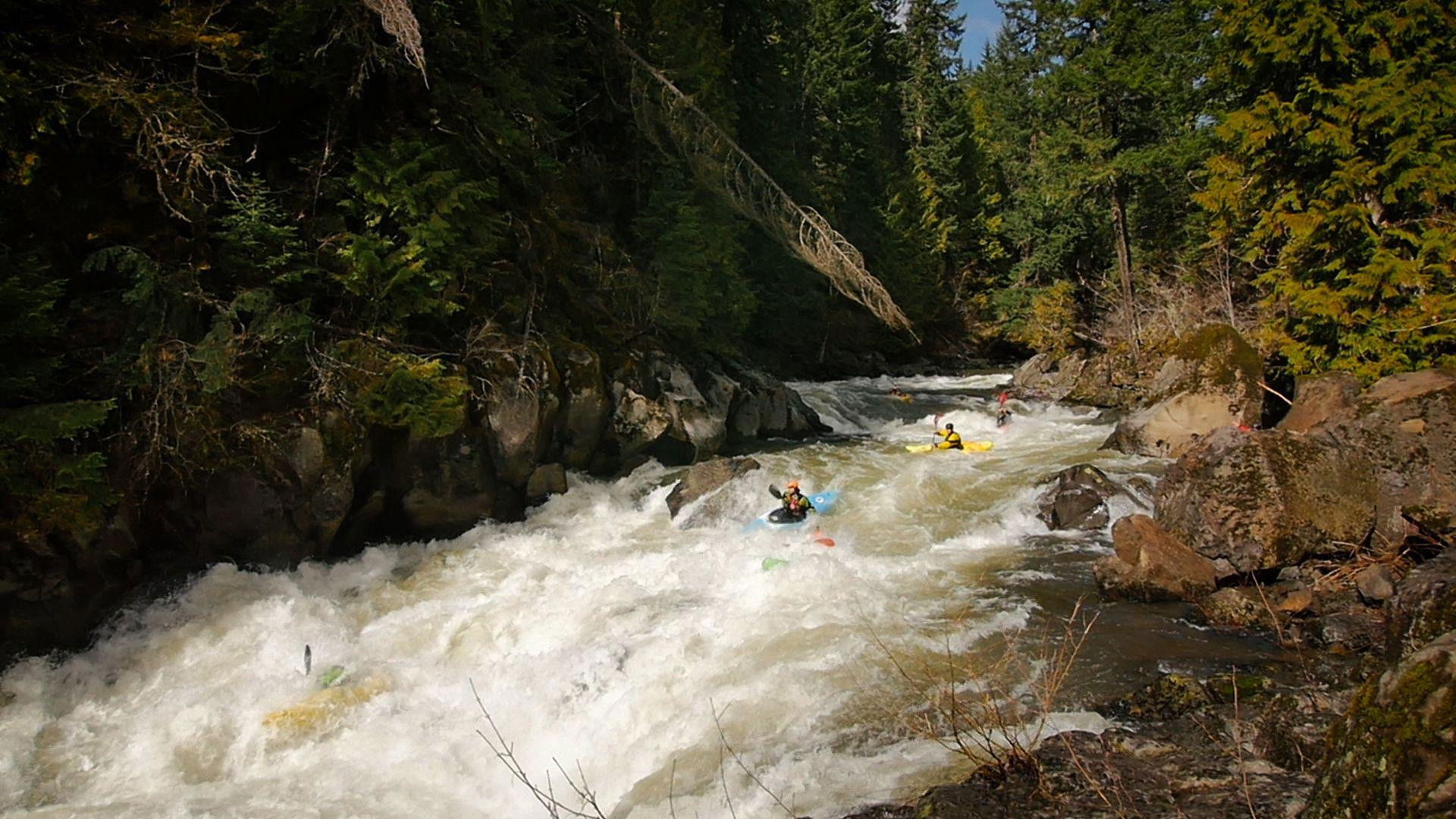 Backdrop for For the Love