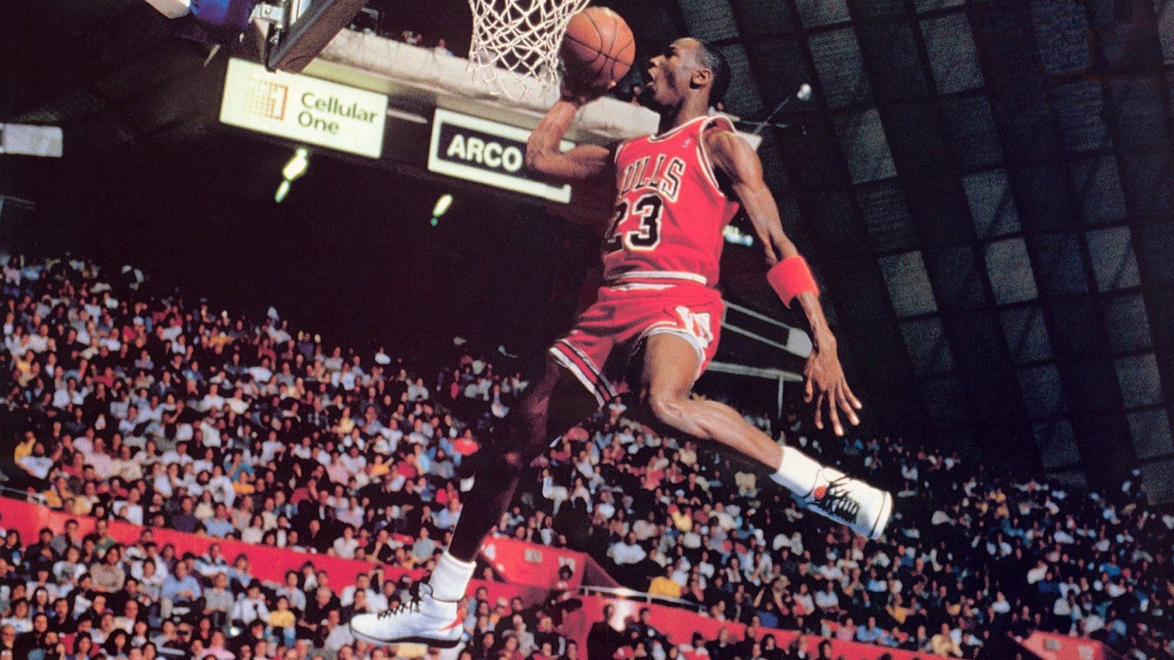 Backdrop for Michael Jordan: Come Fly with Me