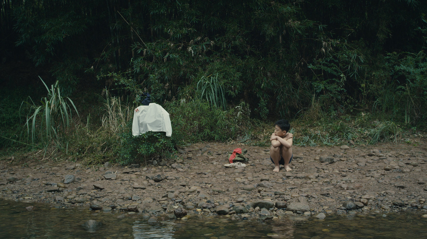 Backdrop for 11 Flowers
