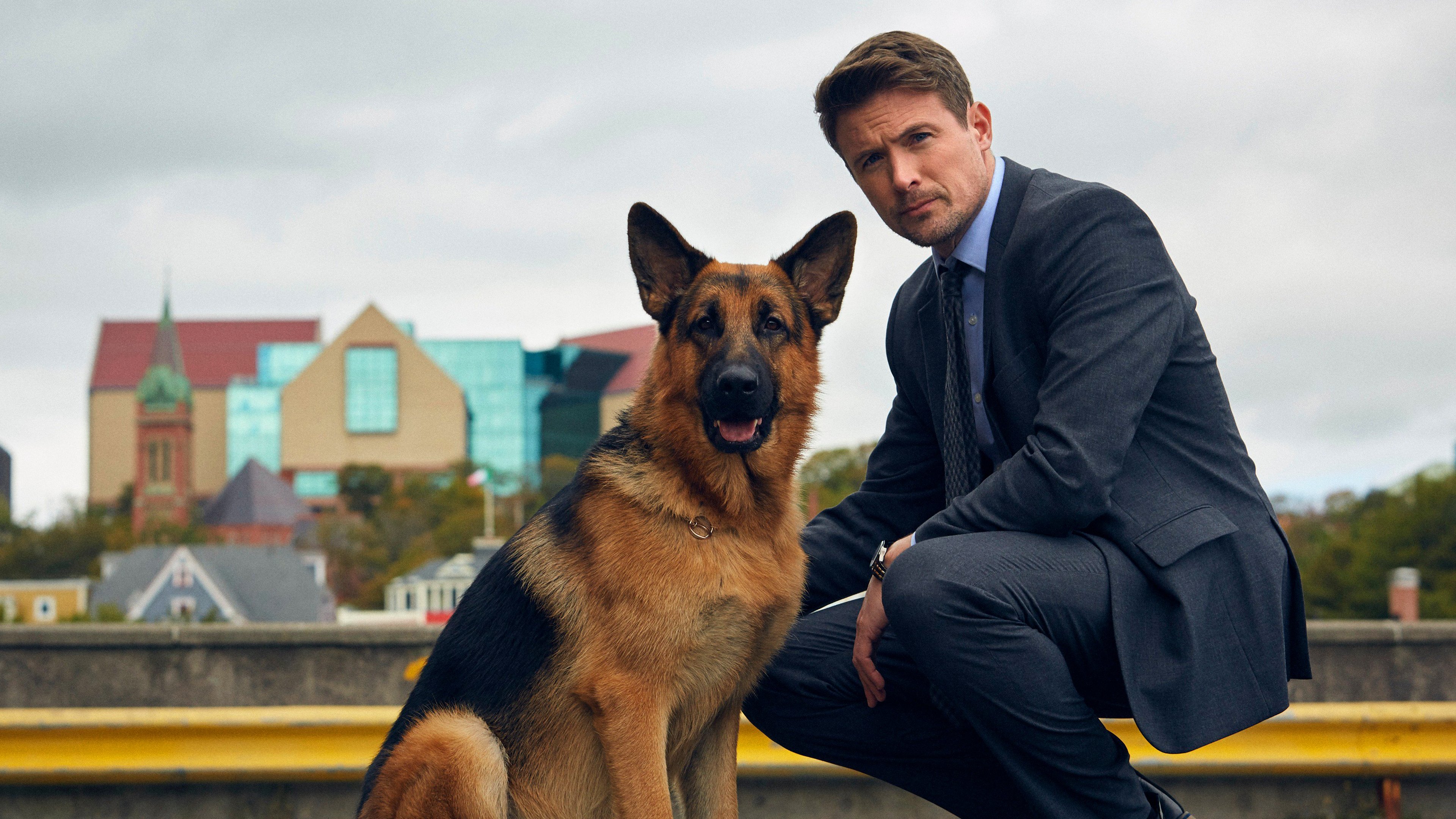 Backdrop for Hudson & Rex