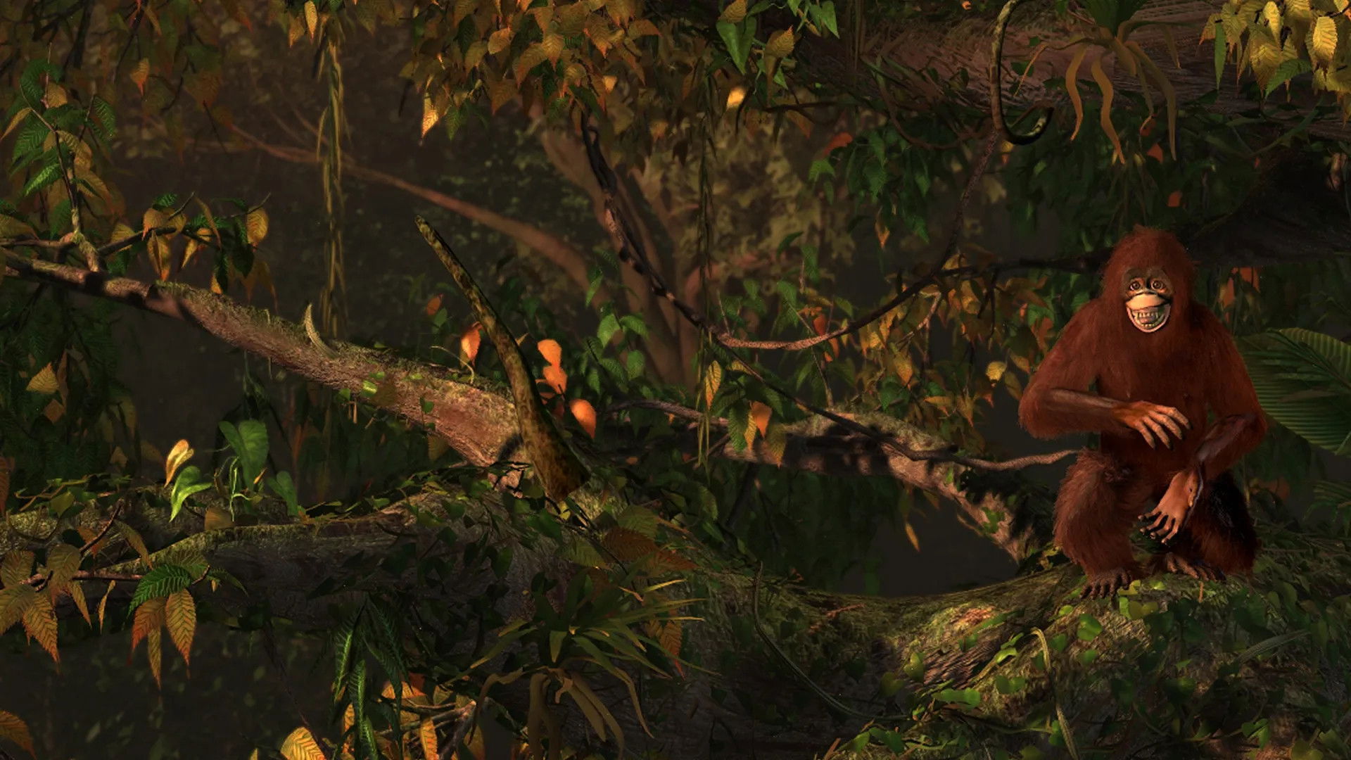 Backdrop for S.O.S. Planet