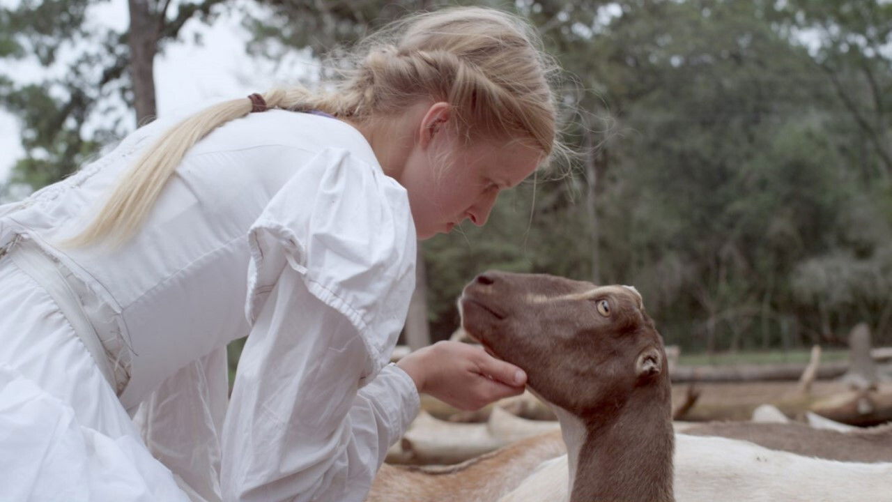 Backdrop for Stop the Pounding Heart