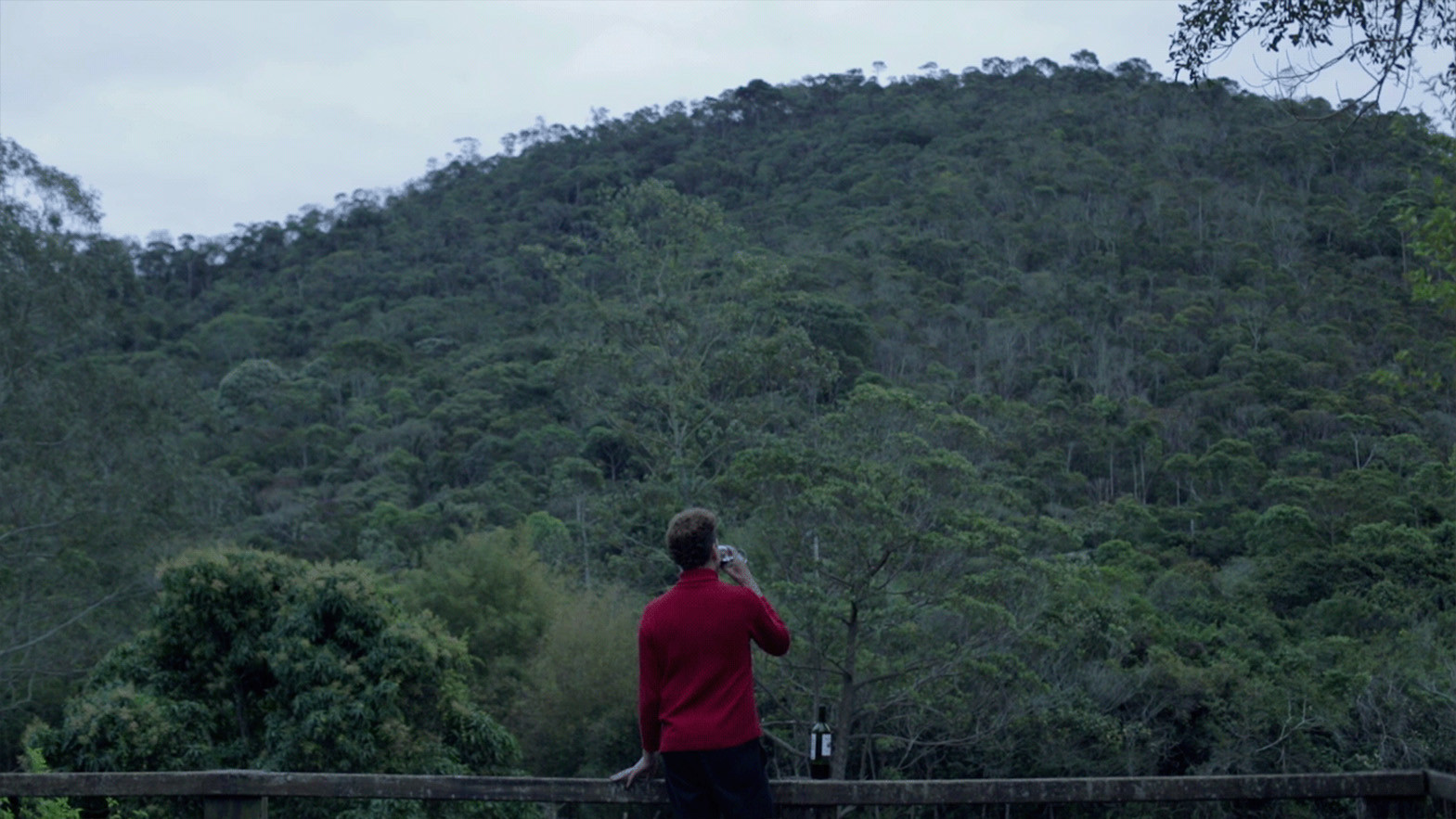 Backdrop for Amofinado