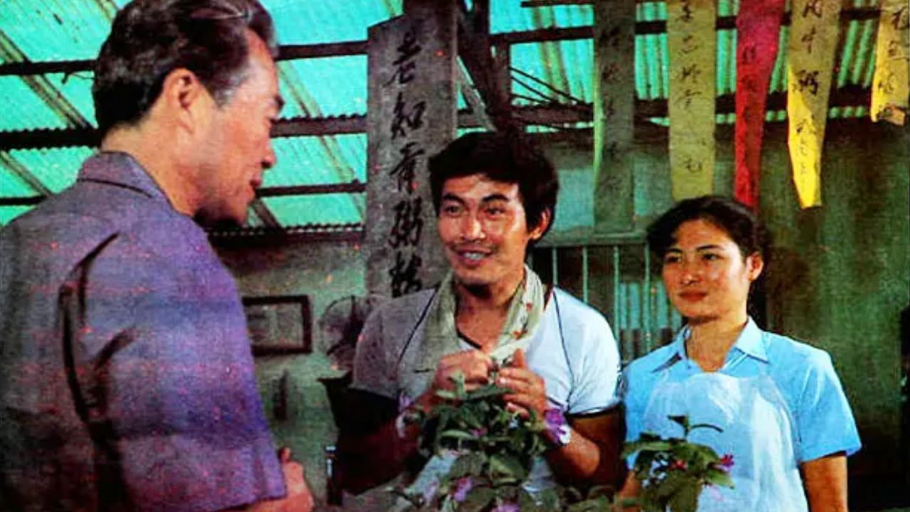 Backdrop for Nan fang de an