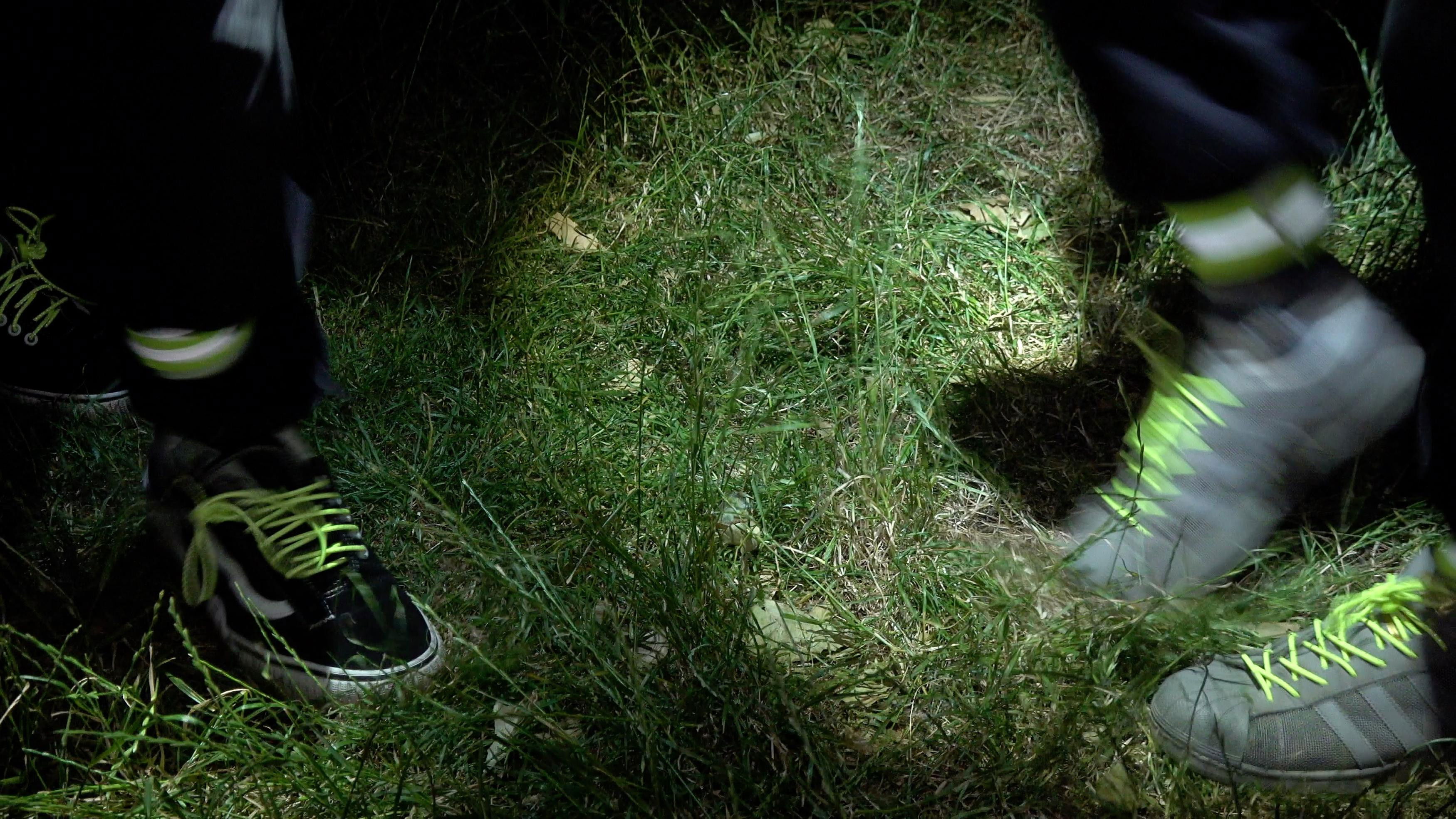 Backdrop for Toad Dance