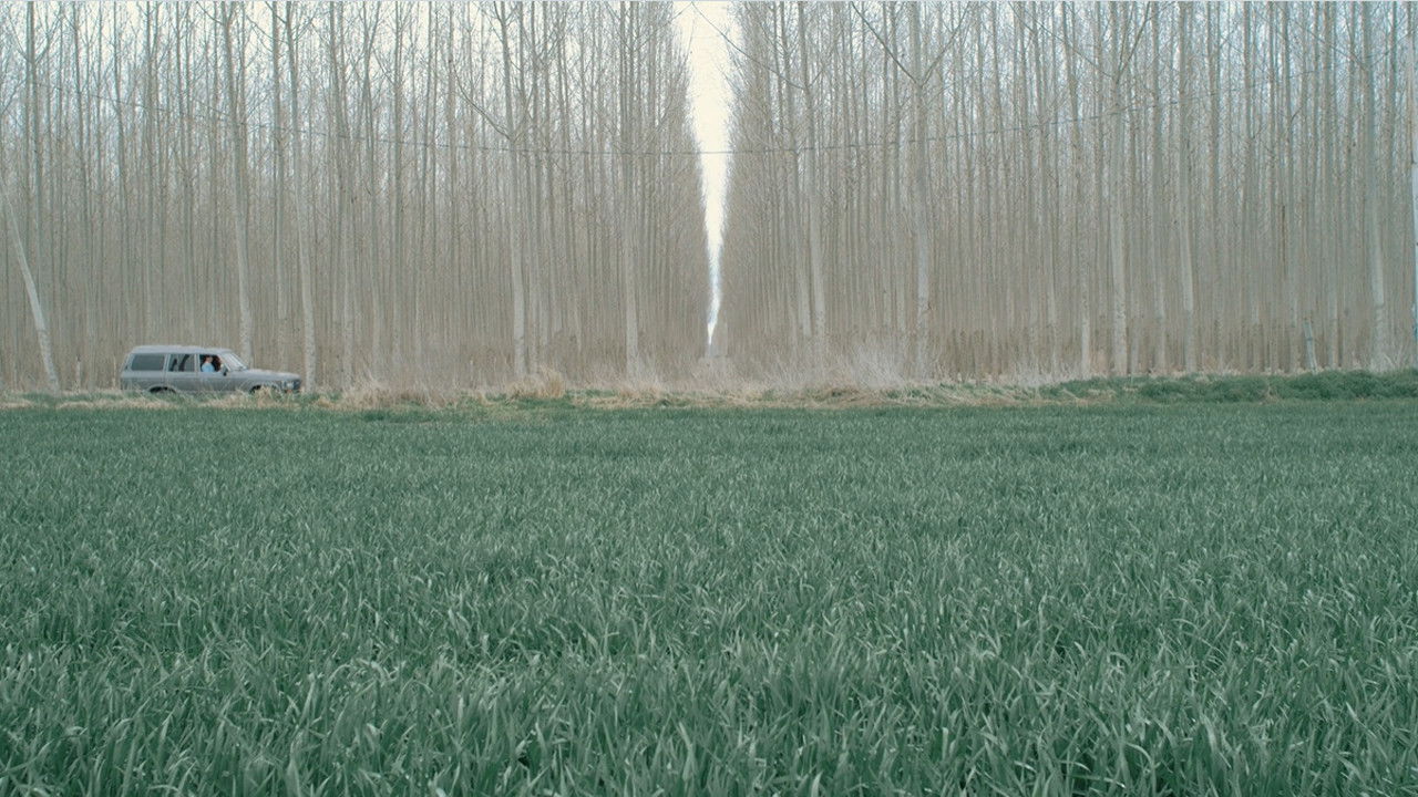 Backdrop for Symmetropia