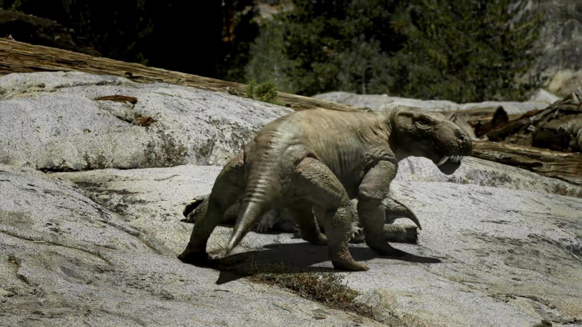 Backdrop for Leaps In Evolution