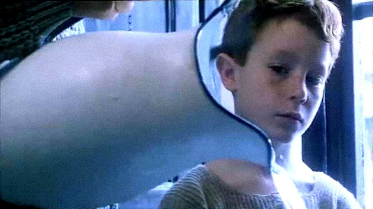 Backdrop for La grande quercia