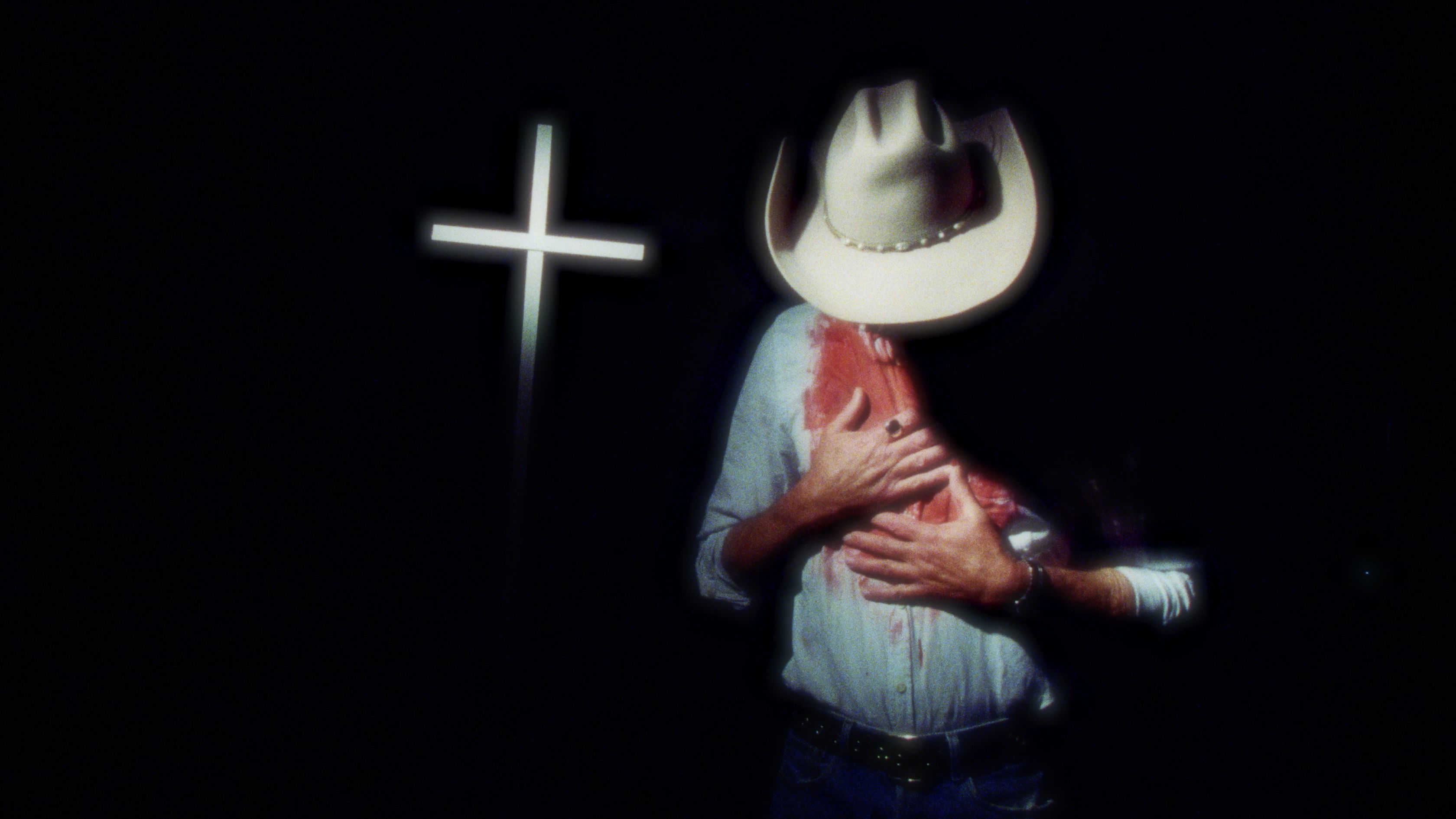 Backdrop for Pink Wings