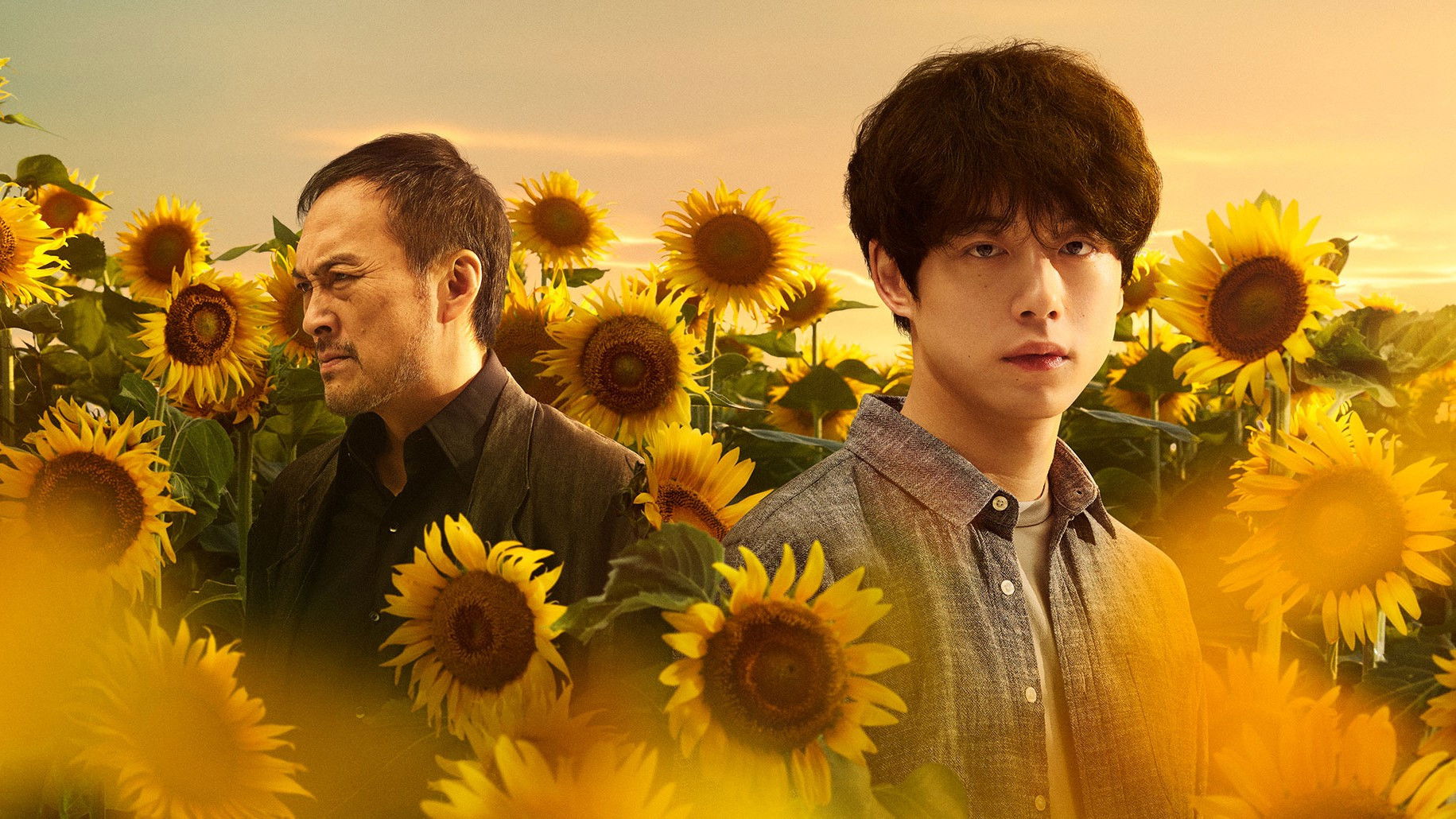 Backdrop for The Final Piece