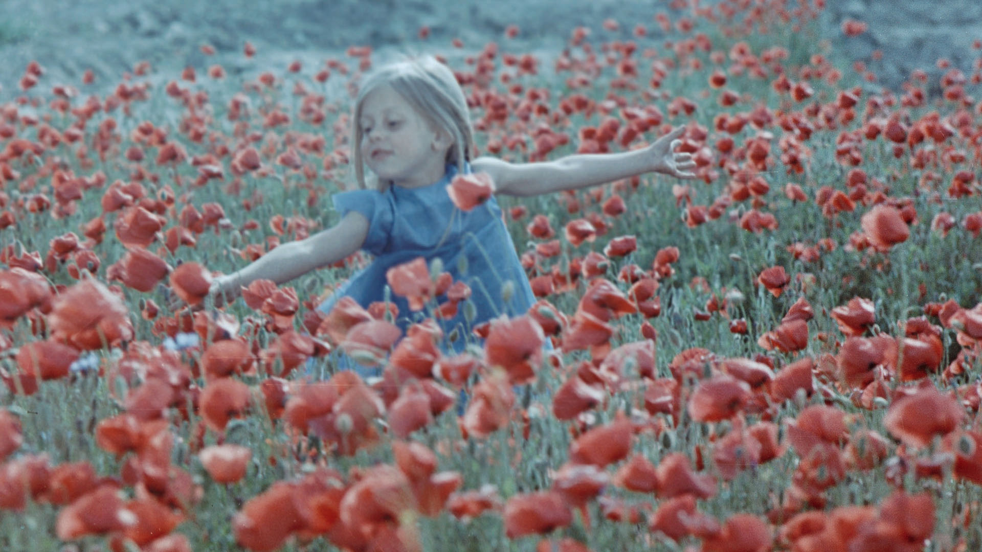 Backdrop for Colourful Dreams