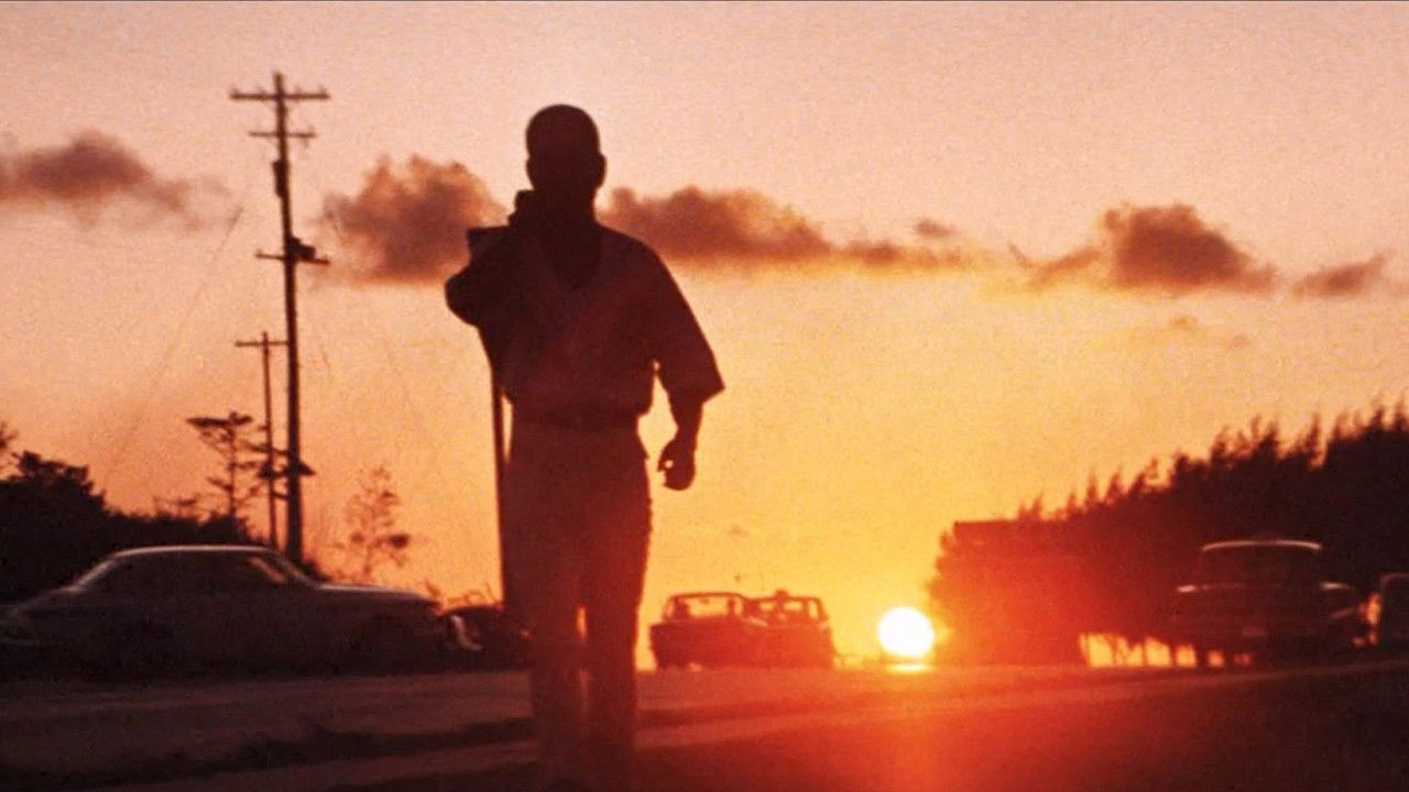 Backdrop for Abashiri Prison: Duel in the South