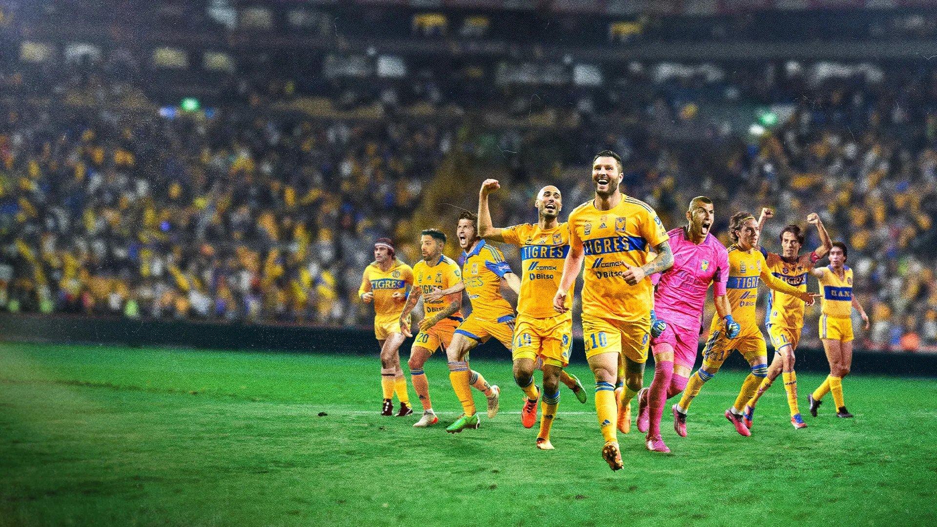 Backdrop for Tigres: La historia perfecta