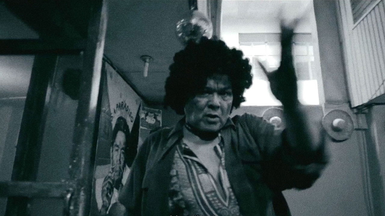 Backdrop for Bamboo Dogs