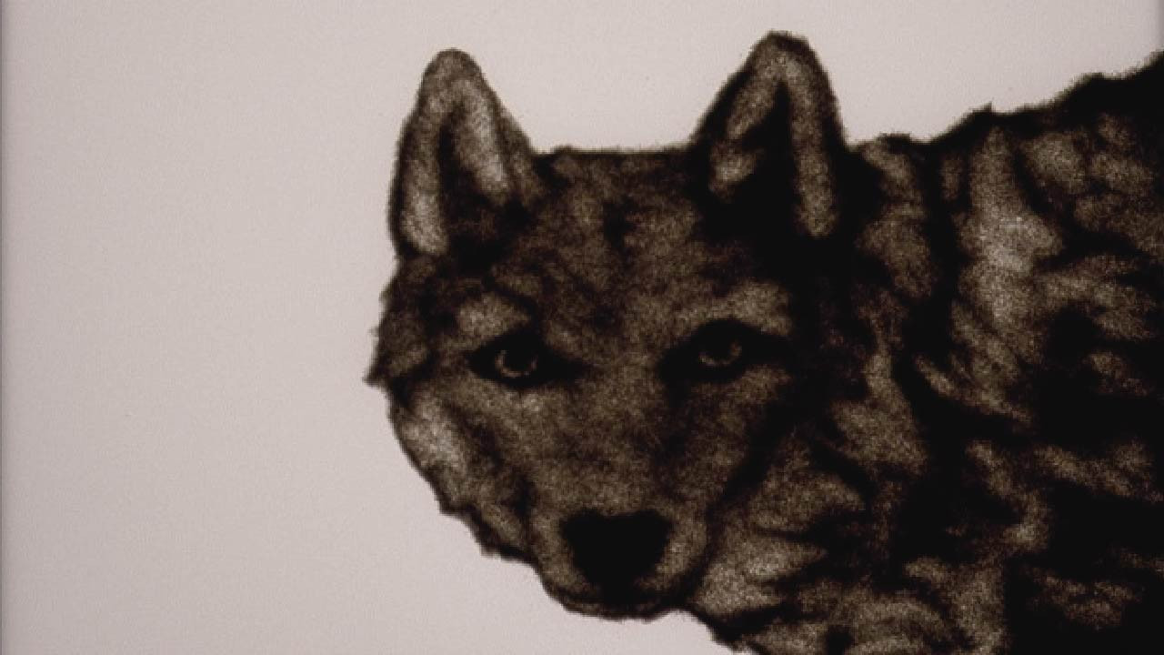 Backdrop for The Hunter