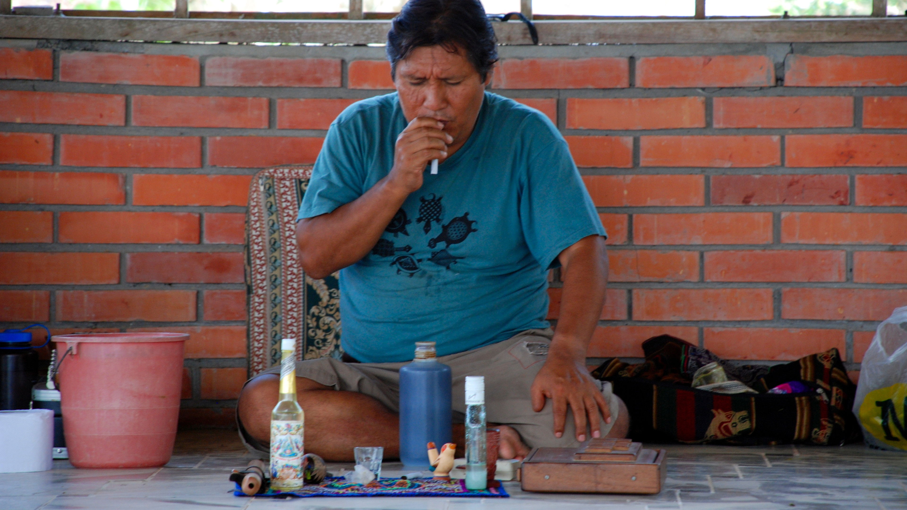 Backdrop for The Shaman & Ayahuasca: Journeys to Sacred Realms