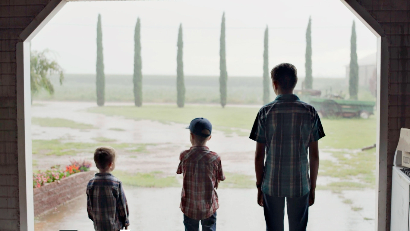 Backdrop for The light that fills the world