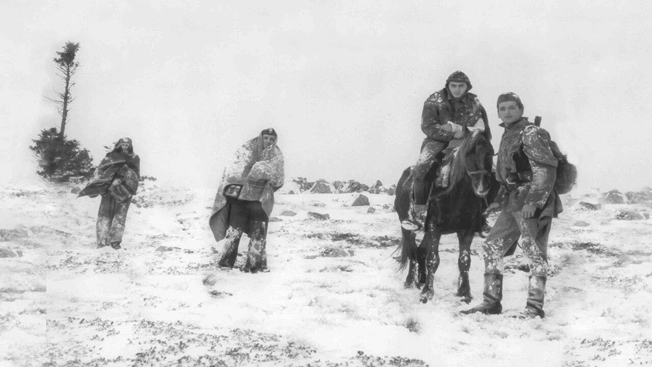 Backdrop for Looking Into the Eyes of the Sun