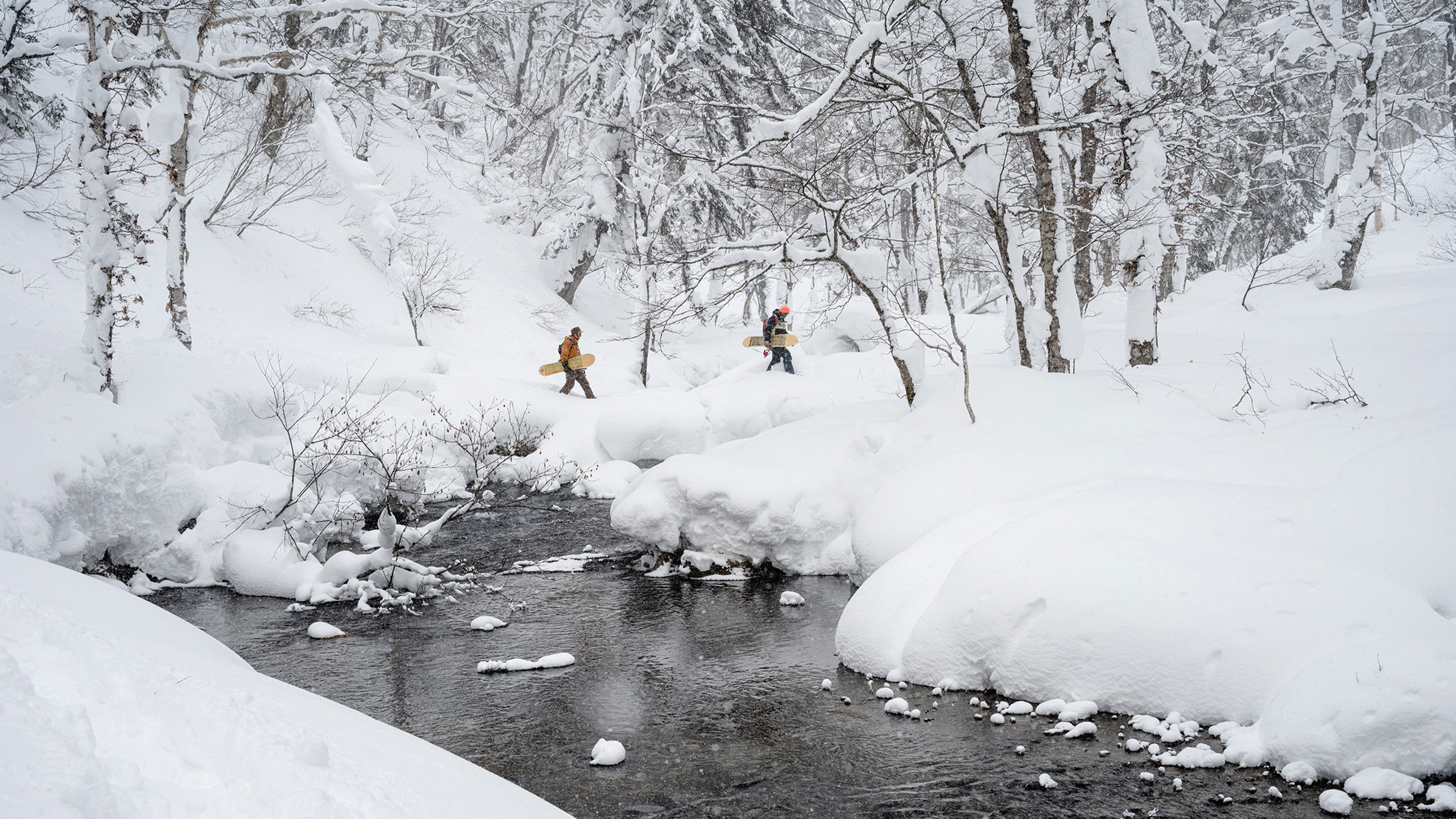 Backdrop for The Meaningless Pursuit of Snow