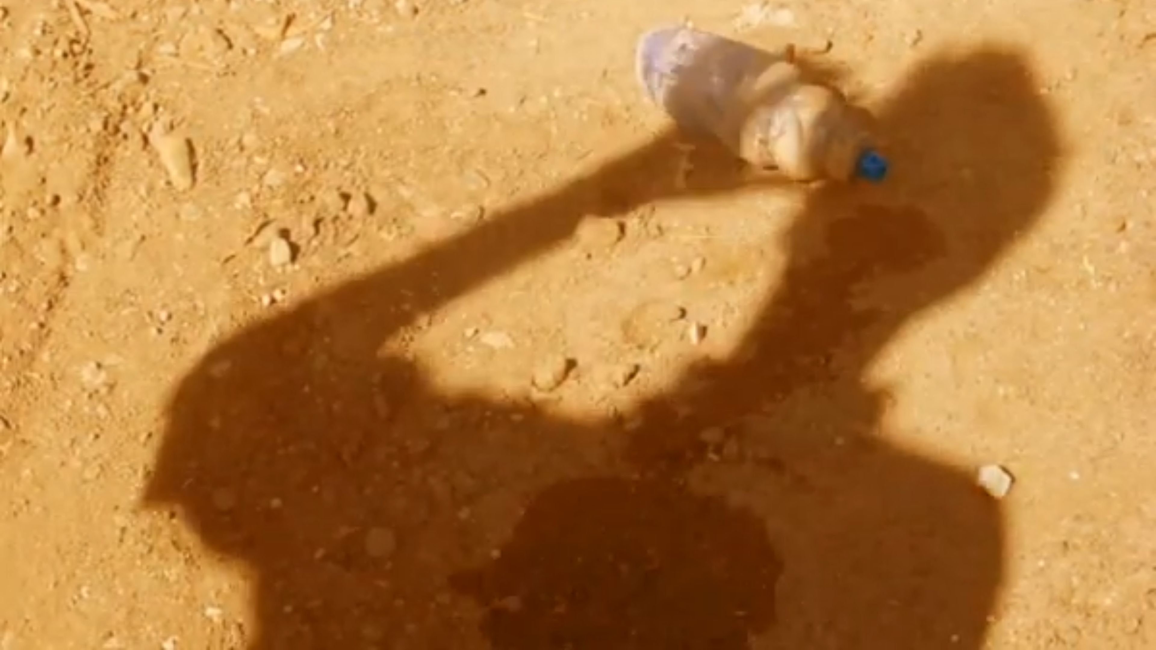 Backdrop for Removed