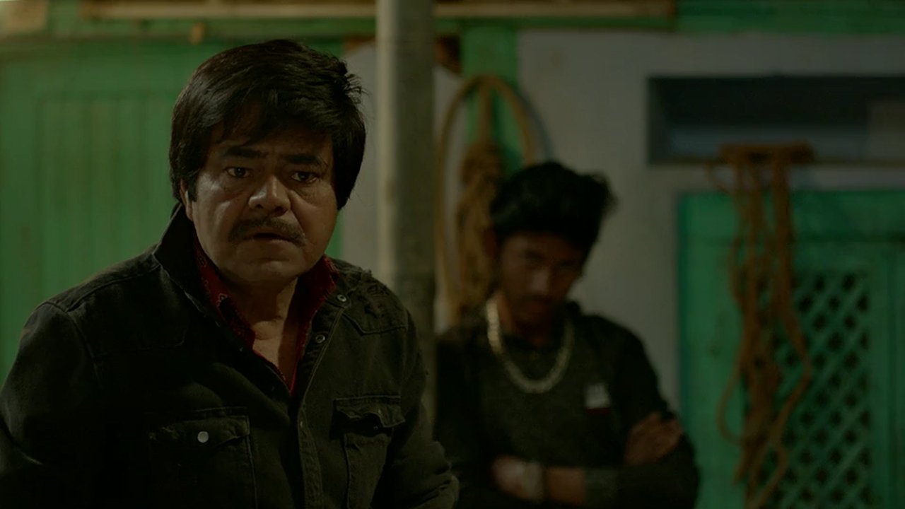 Backdrop for Holy Cow