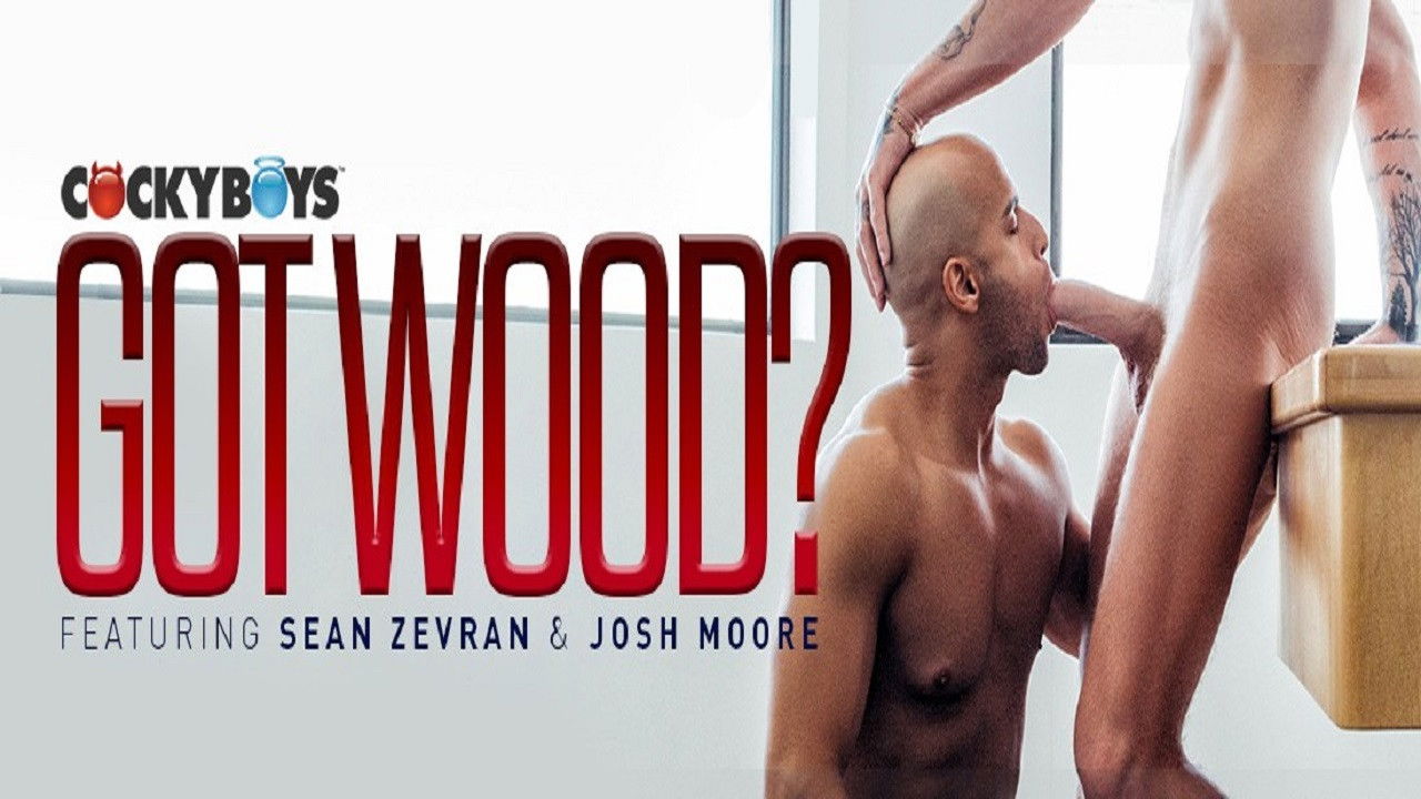 Backdrop for Got Wood?