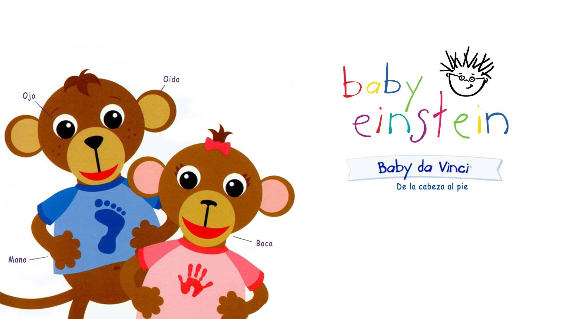 Backdrop for Baby Einstein: Baby Da Vinci - From Head to Toe