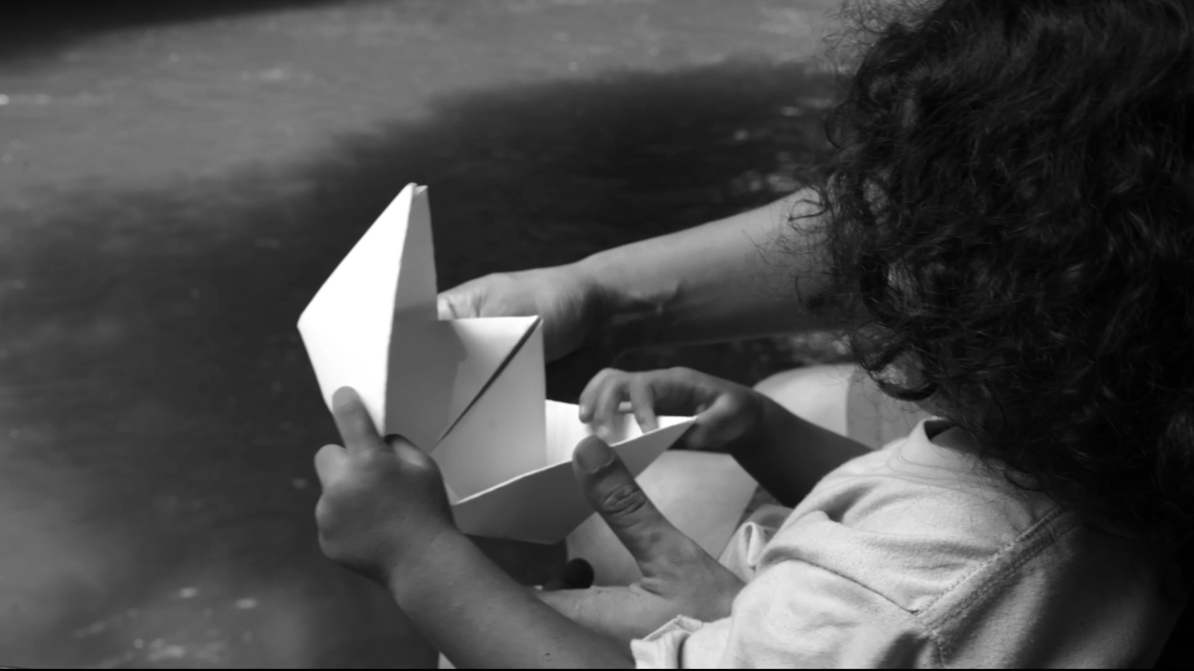 Backdrop for Sparrow in the Storm