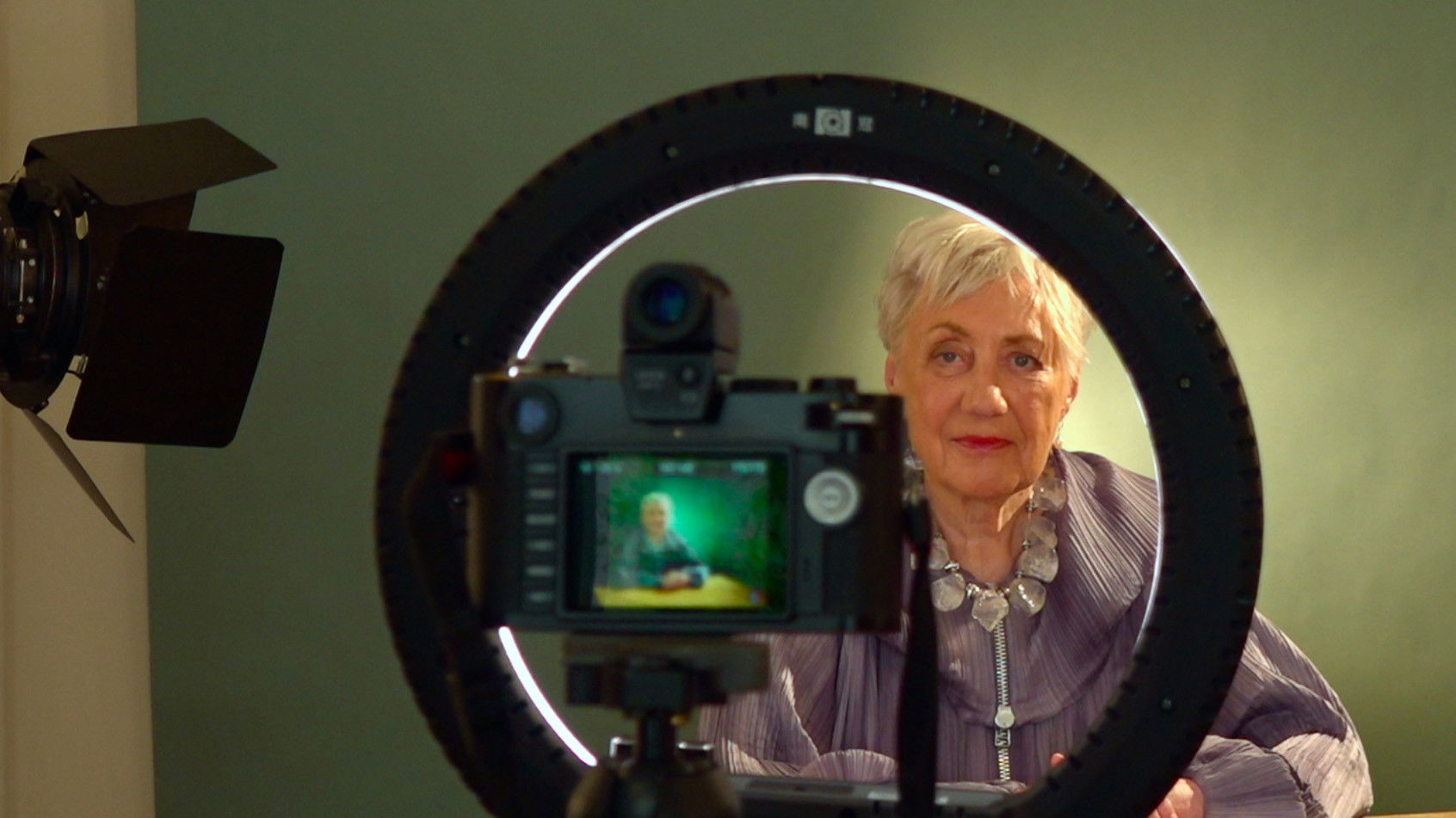 Backdrop for Helke Sander: Cleaning House