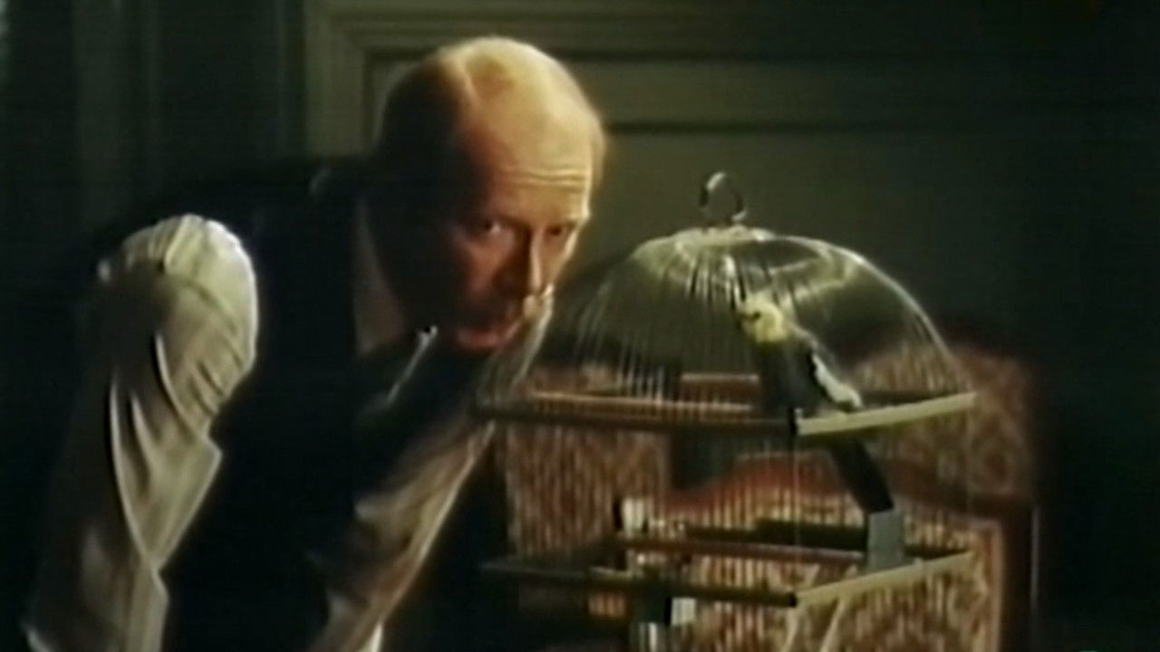 Backdrop for Rear Window