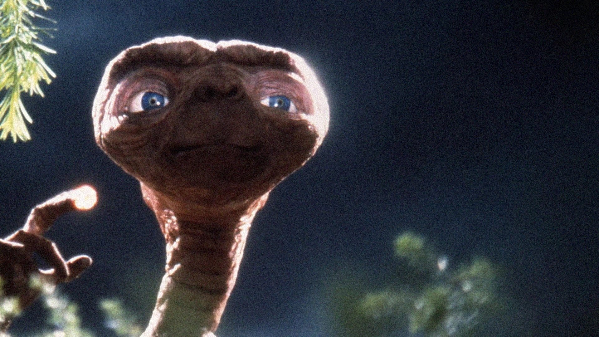 Backdrop for E. T., an Emotional Blockbuster