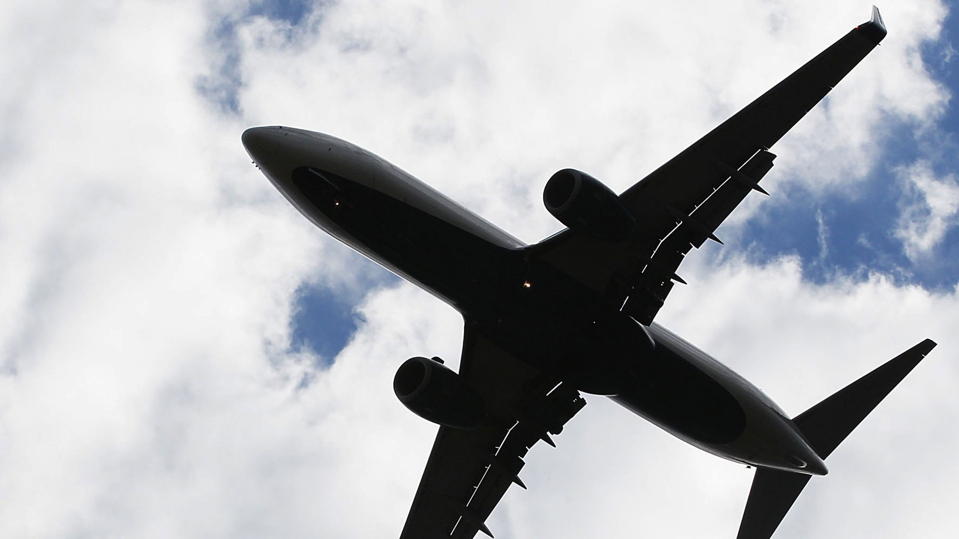 Backdrop for Extreme Flights