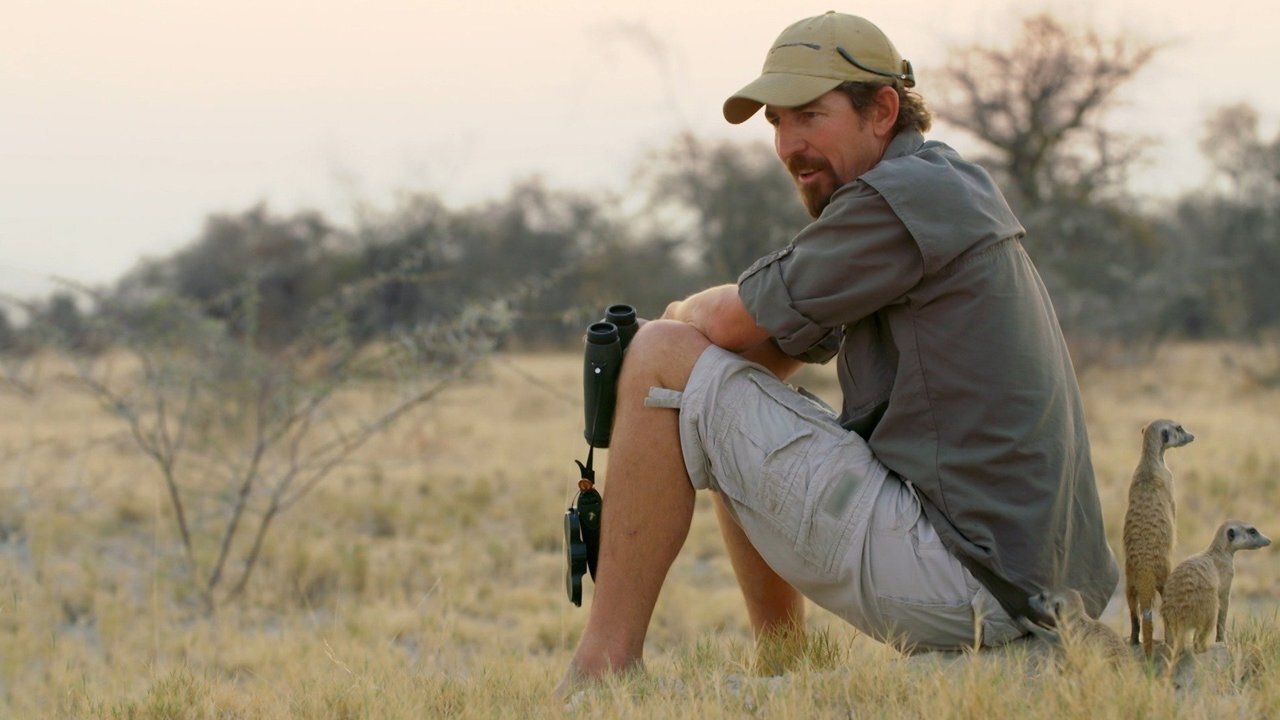 Backdrop for Safari Brothers