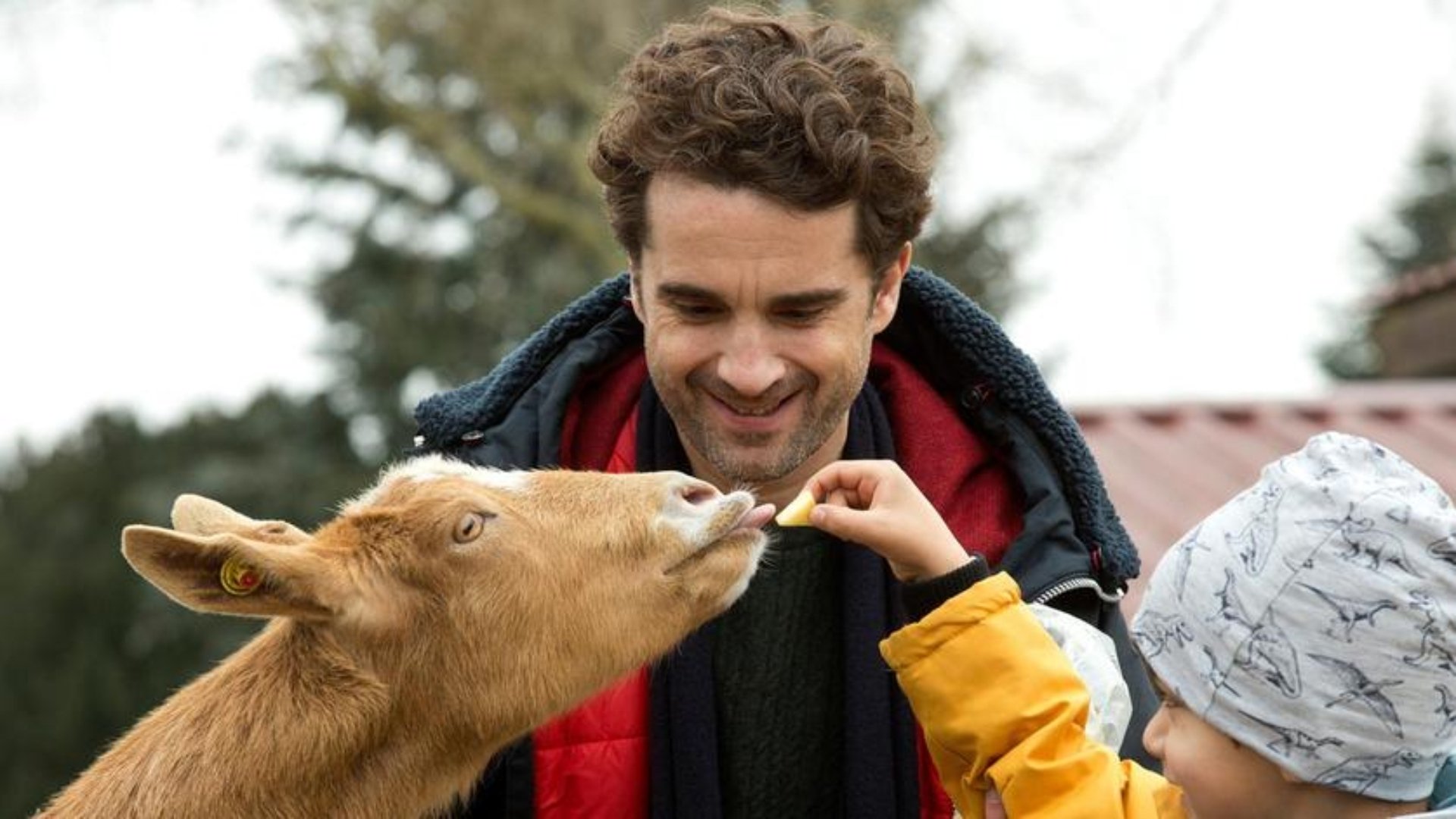 Backdrop for Das Leben ist kein Kindergarten – Umzugschaos