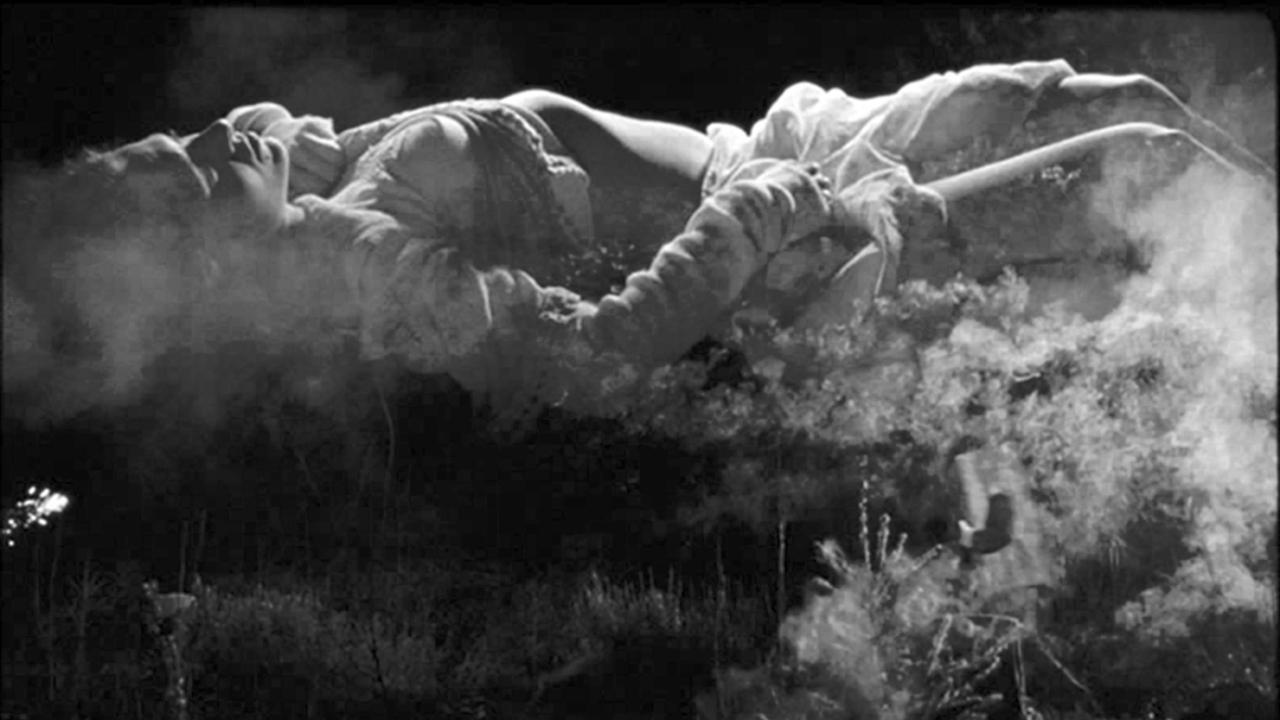 Backdrop for Boro in the Box