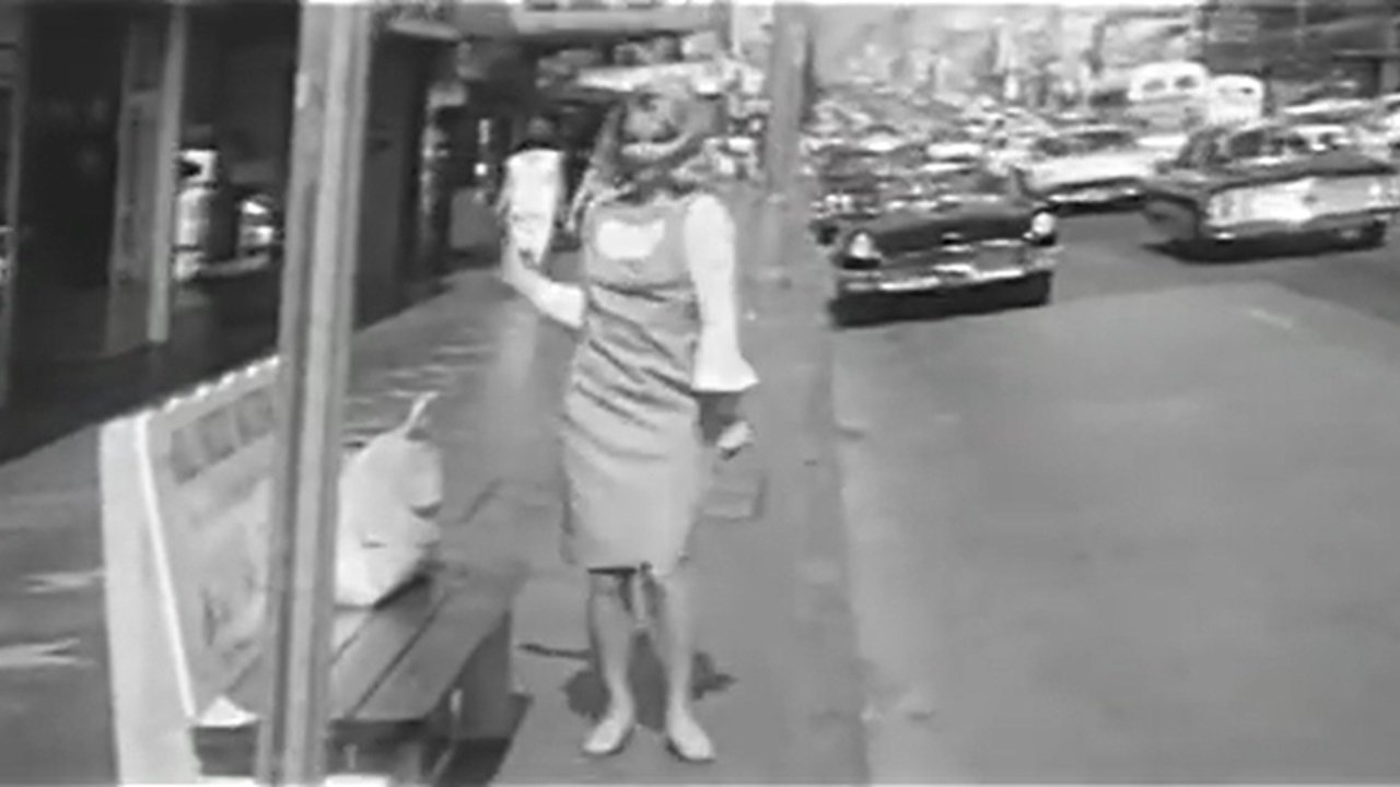 Backdrop for Where's the Bus?