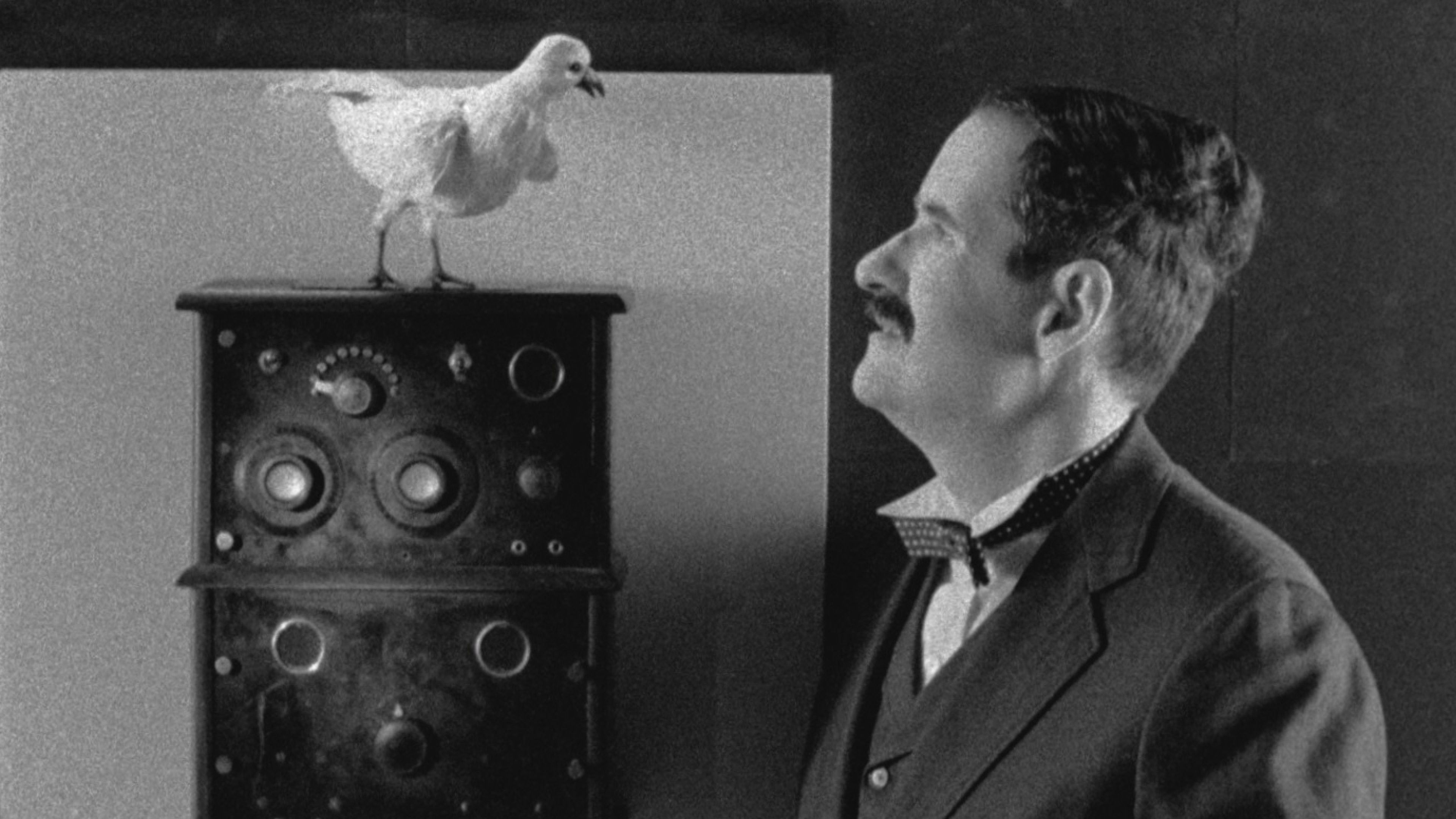 Backdrop for The Tesla World Light