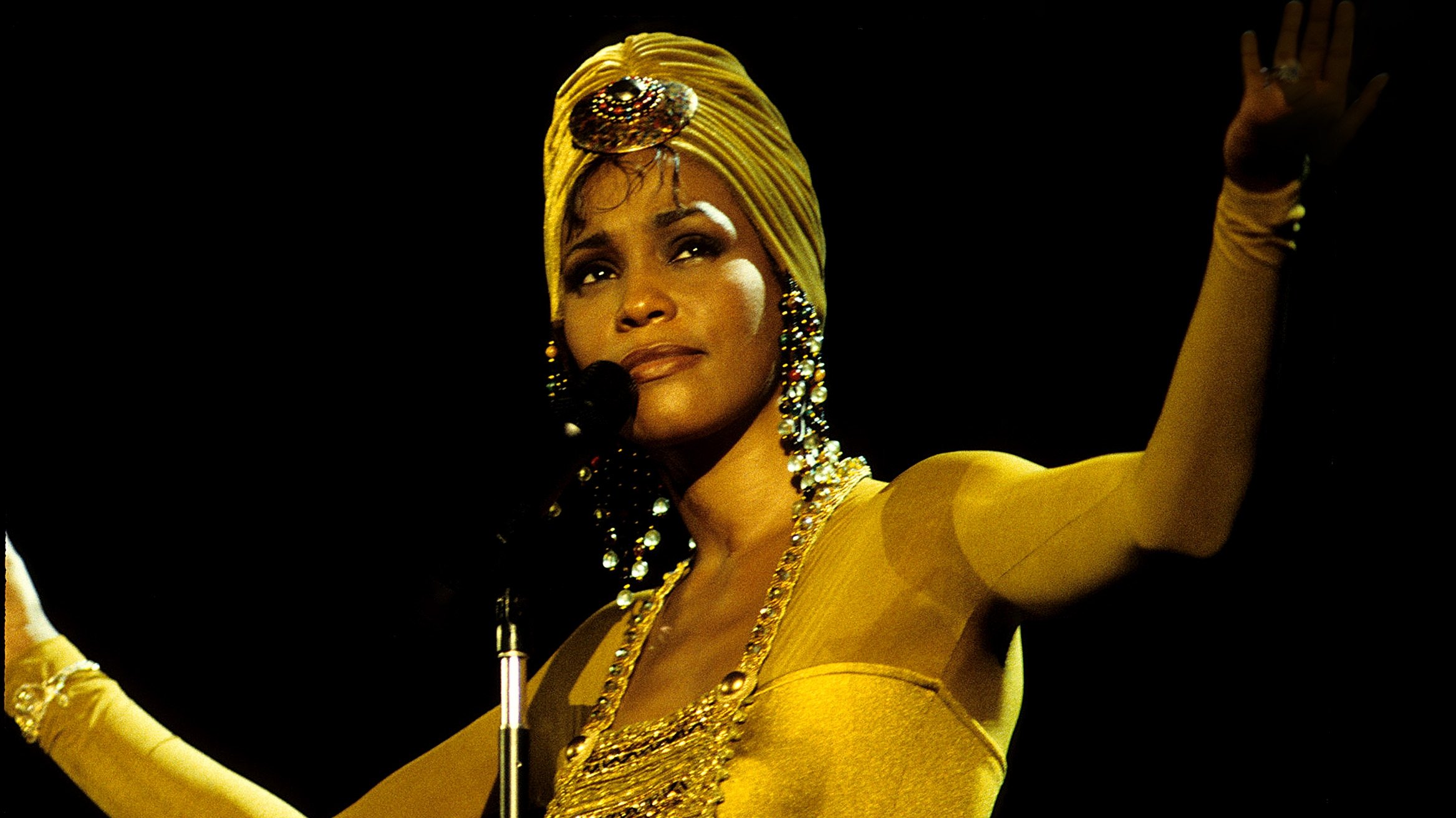 Backdrop for Whitney Houston Live in Johannesburg 1994