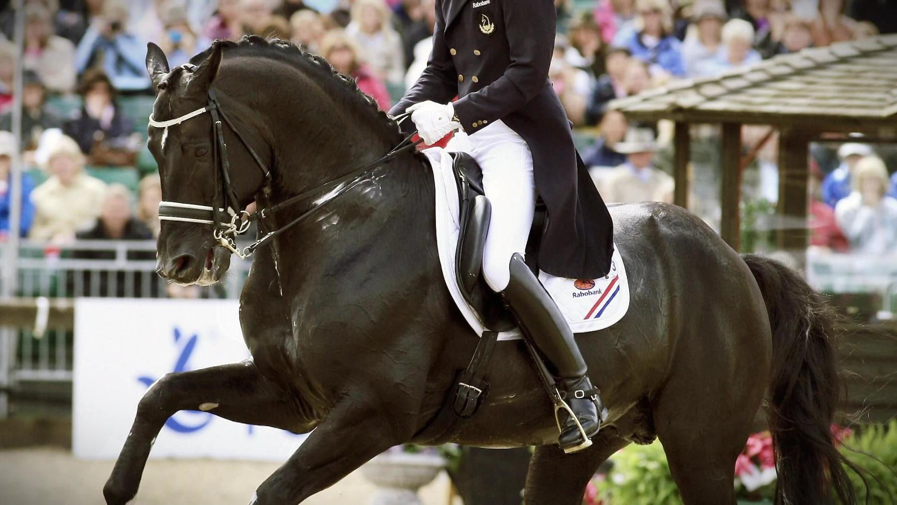 Backdrop for Totilas - The Million Dollar Business With The Horse of The Century