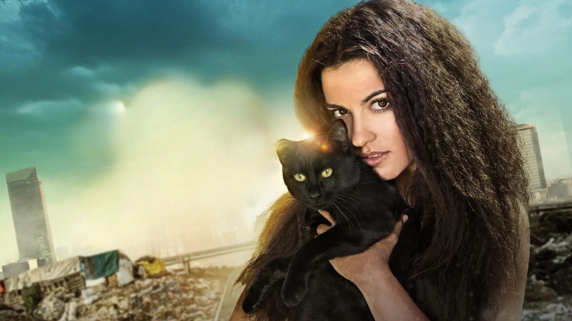 Backdrop for The Stray Cat