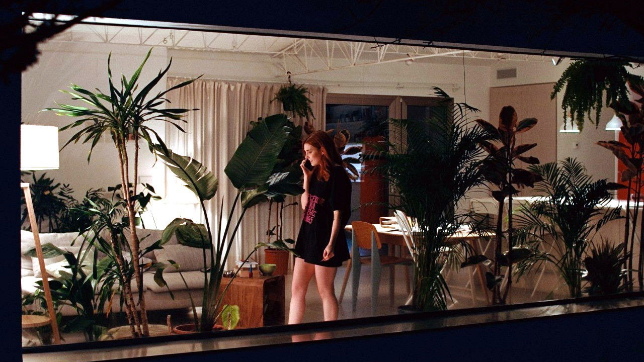 Backdrop for Monstera