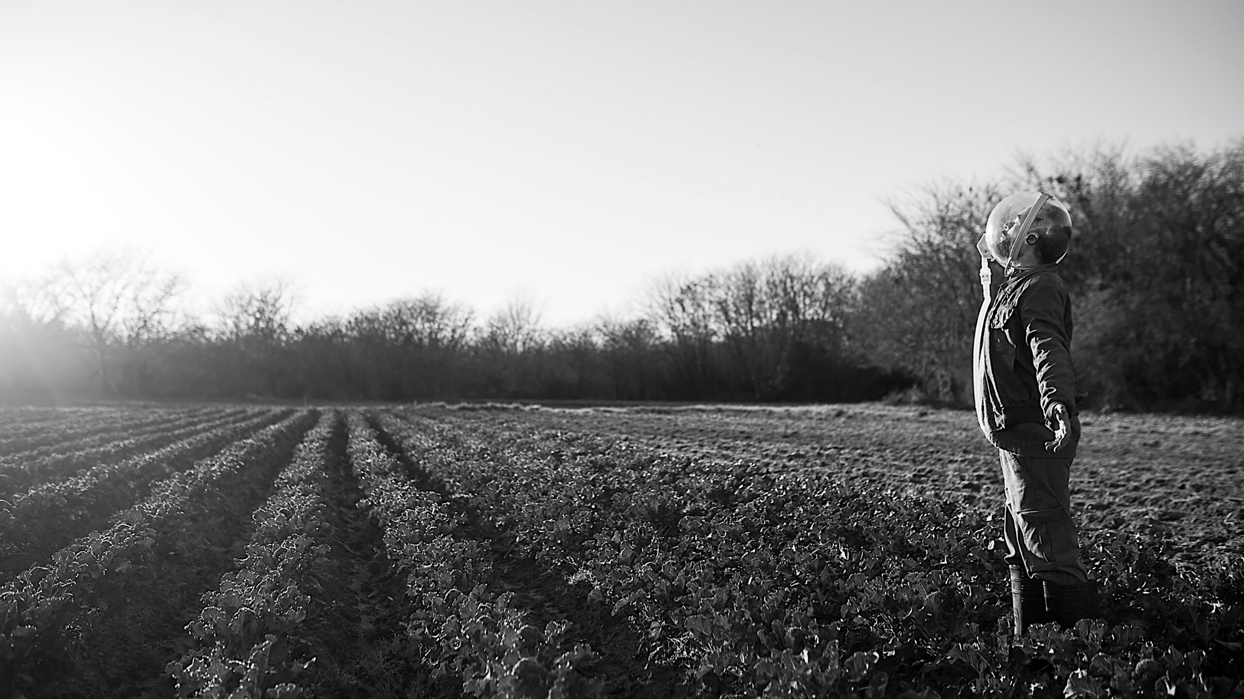 Backdrop for The Dog Who Wouldn't Be Quiet