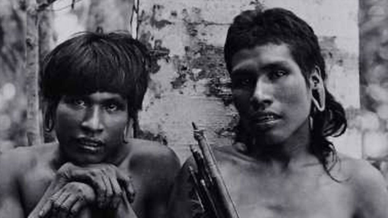 Backdrop for Ailton Krenak: O Sonho da Pedra