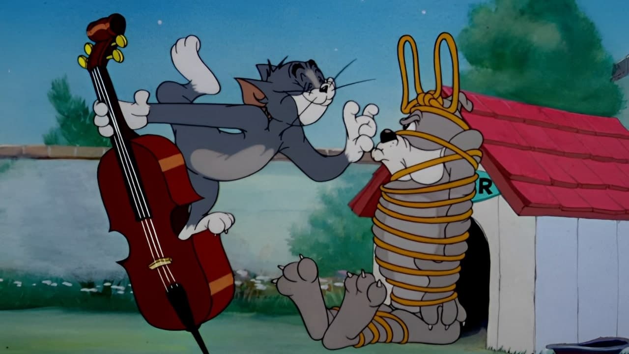 Backdrop for Solid Serenade