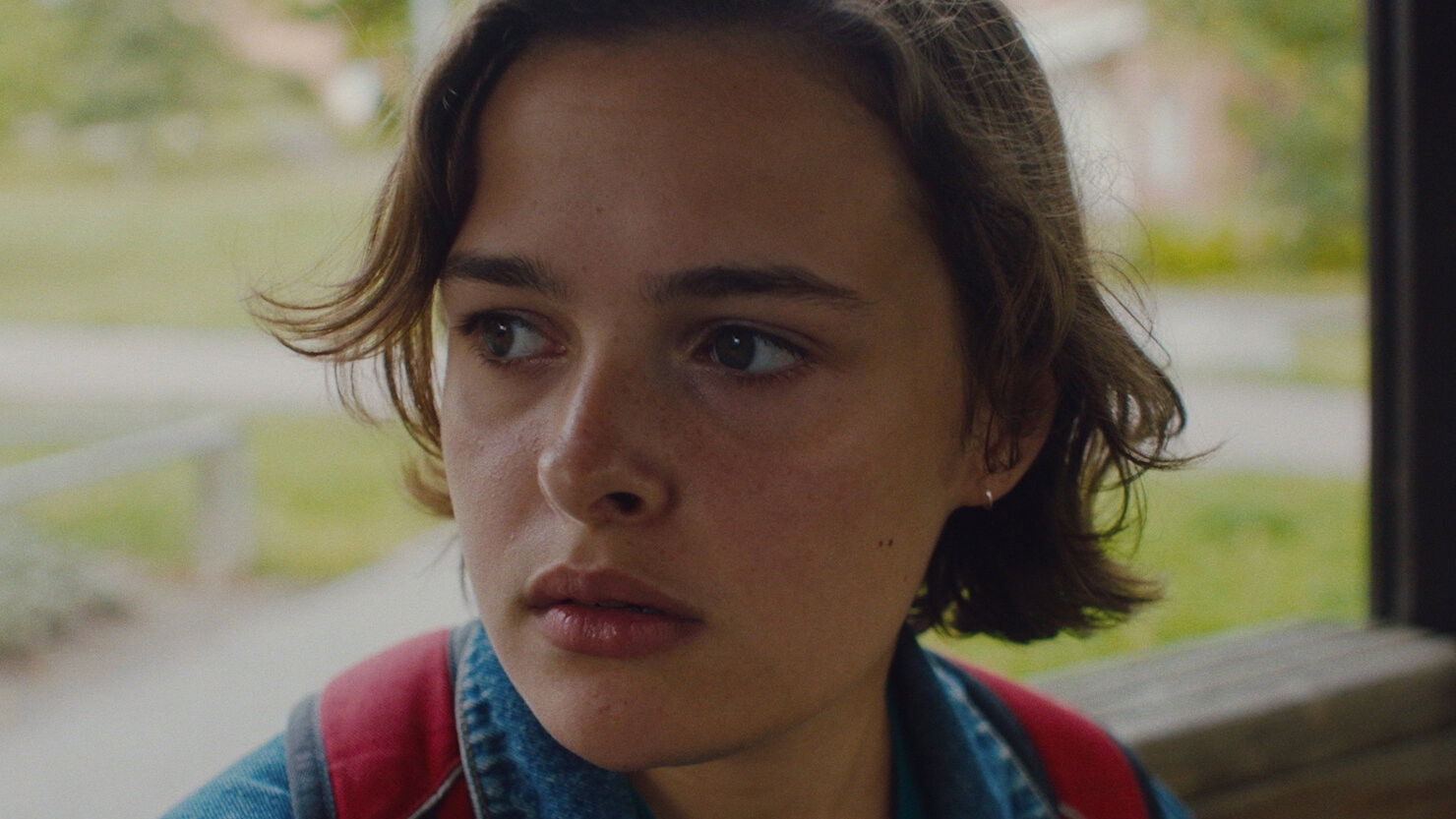 Backdrop for Day Trip