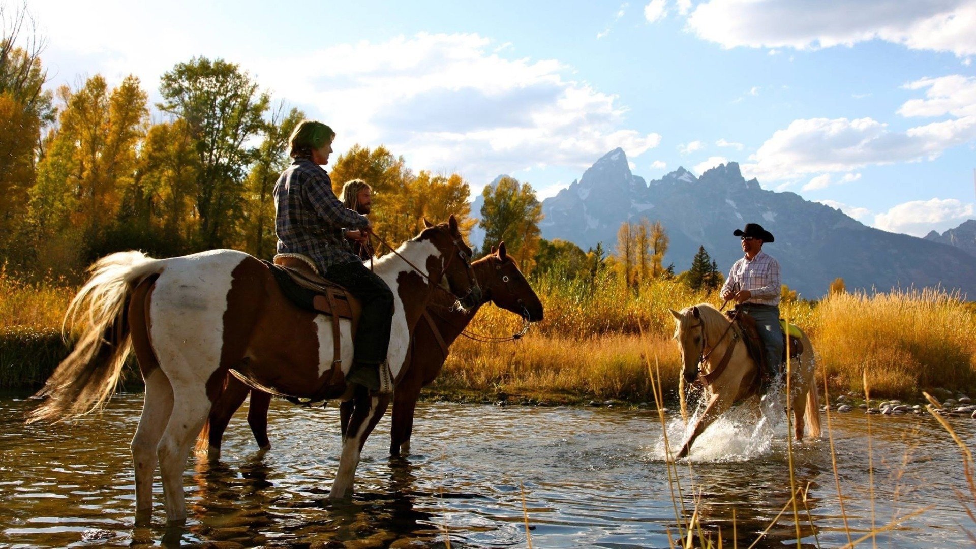 Backdrop for Druid Peak