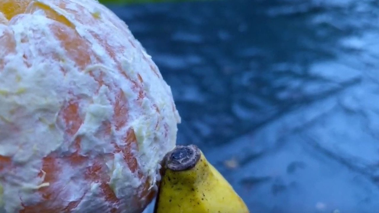 Backdrop for Fruitful