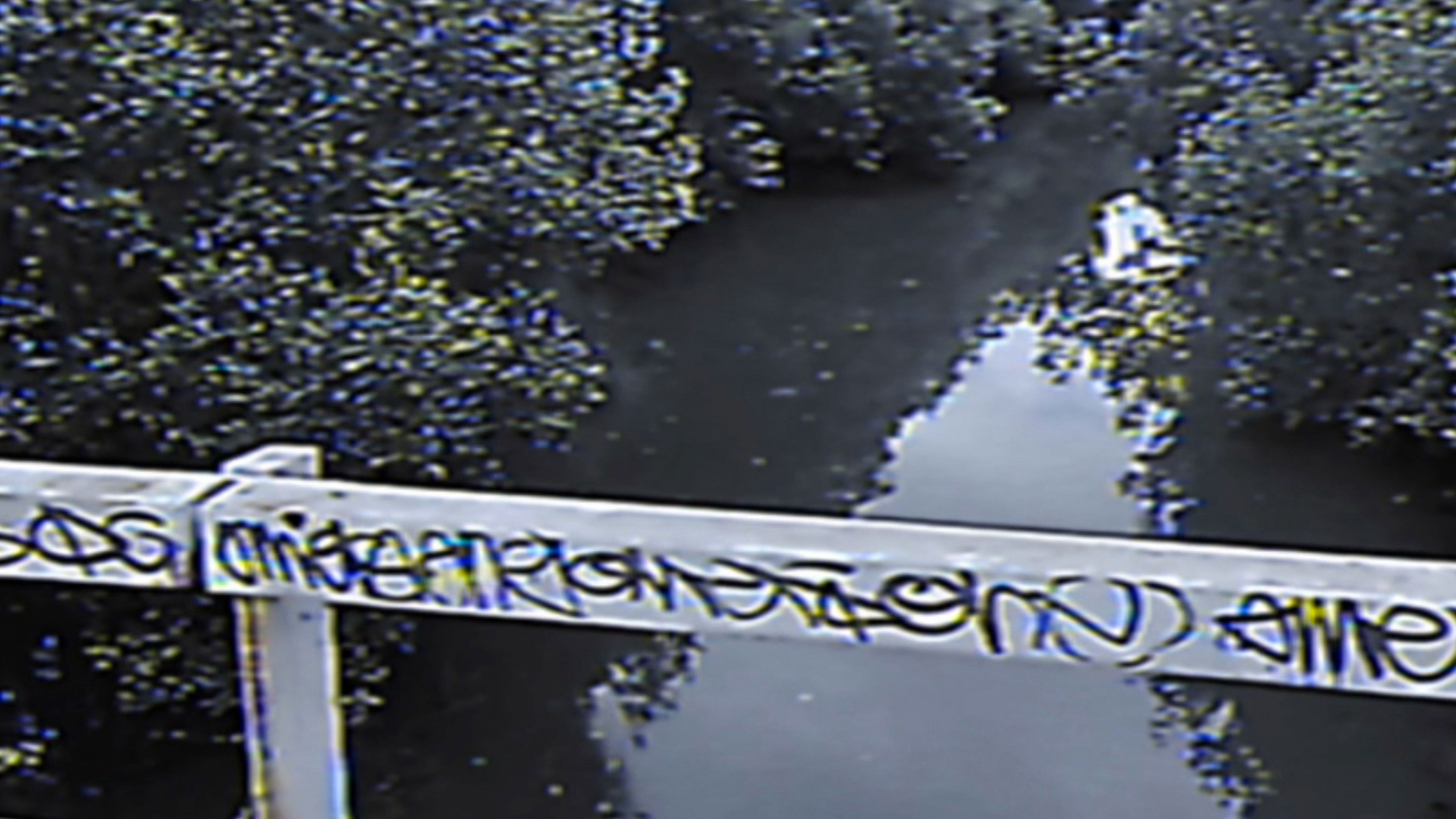 Backdrop for Theoretical: Sully Unreleased Clips