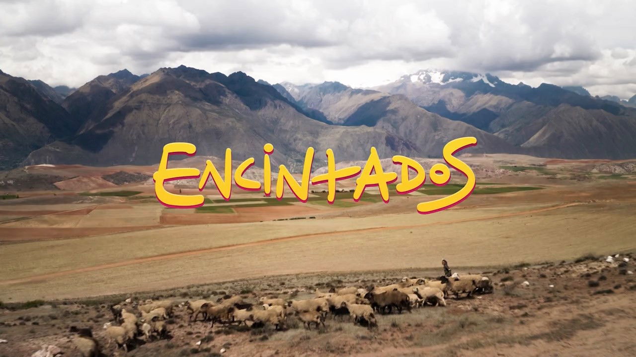 Backdrop for Impregnated