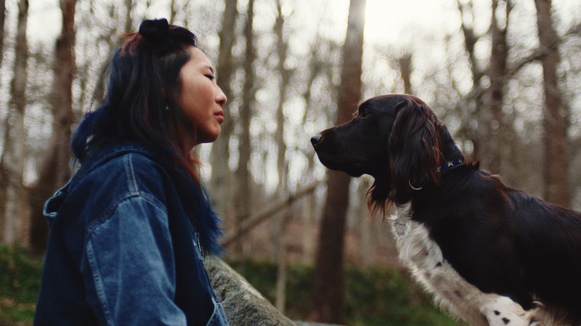 Backdrop for Good Boy Banjo